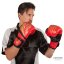 Kickboxerské rukavice C-GEAR Integrity schválené pro WAKO