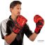 Kickboxerské rukavice C-GEAR Sport Respect schválené pro WAKO (omyvatelné)
