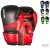 Kickboxerské rukavice C-GEAR 10 OZ Determination schváleno pro WAKO