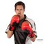 Kickboxerské rukavice C-GEAR Integrity schválené pro WAKO